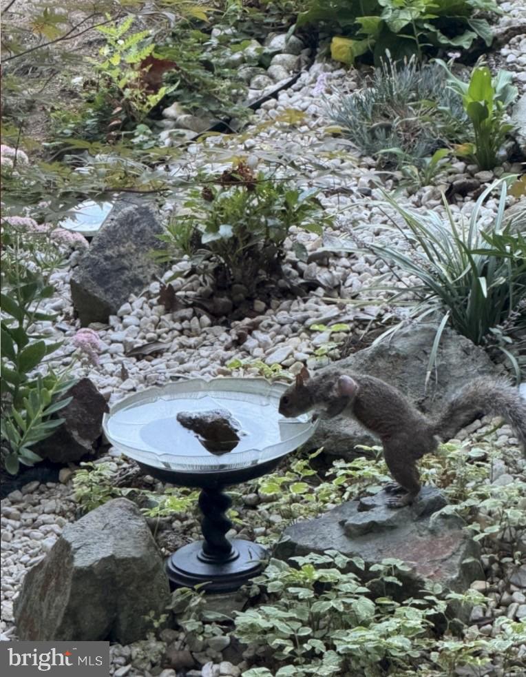 CENTREVILLE GREEN - Residential