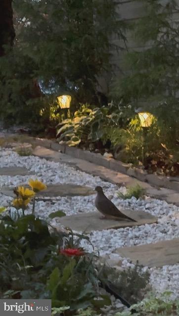 CENTREVILLE GREEN - Residential