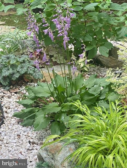 CENTREVILLE GREEN - Residential