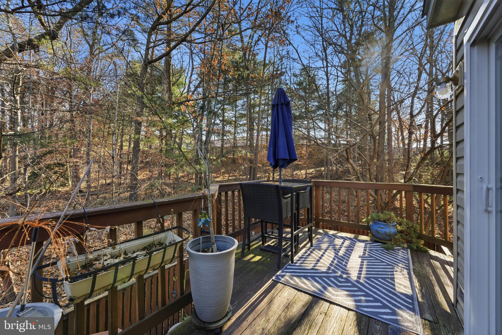 CENTREVILLE GREEN - Residential