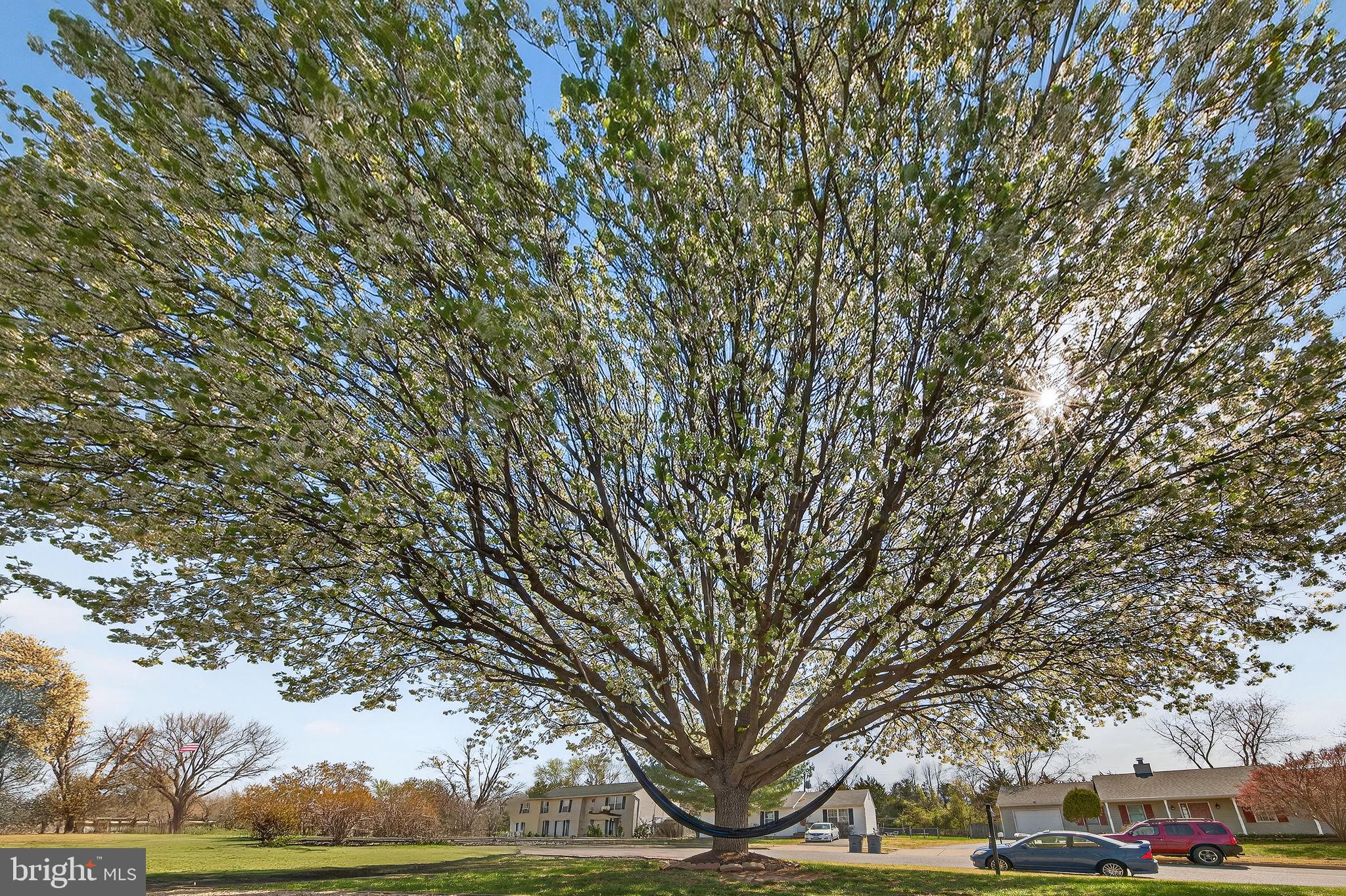 LEES GLEN - Residential