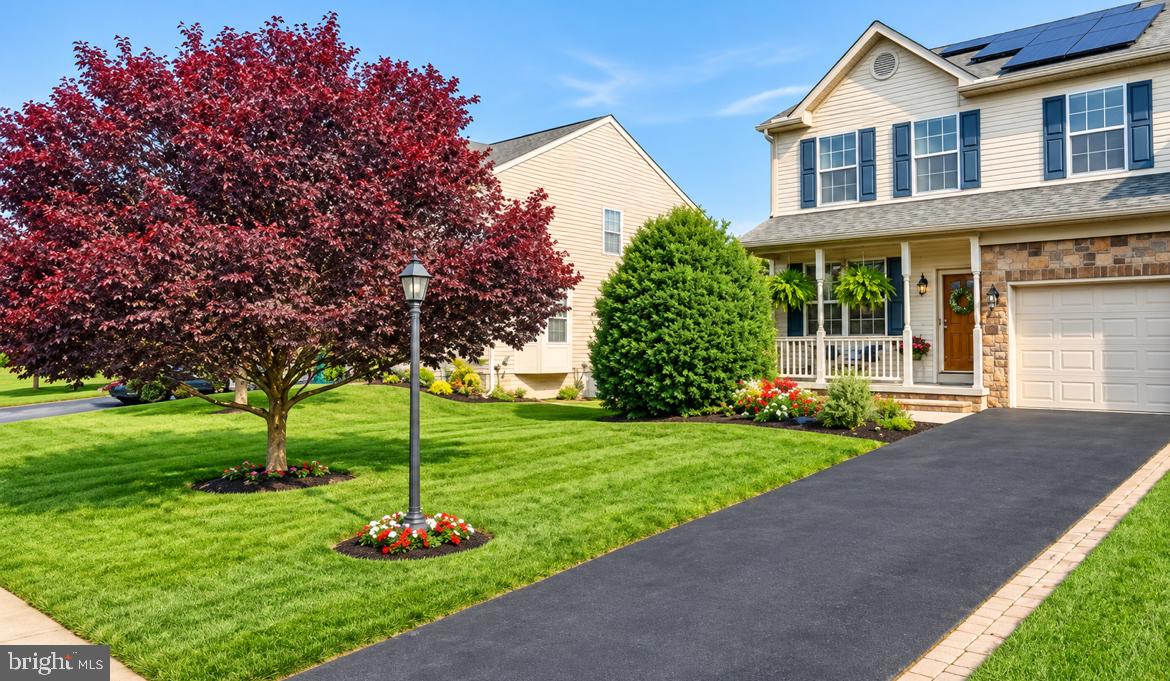 243 MAPLE DRIVE