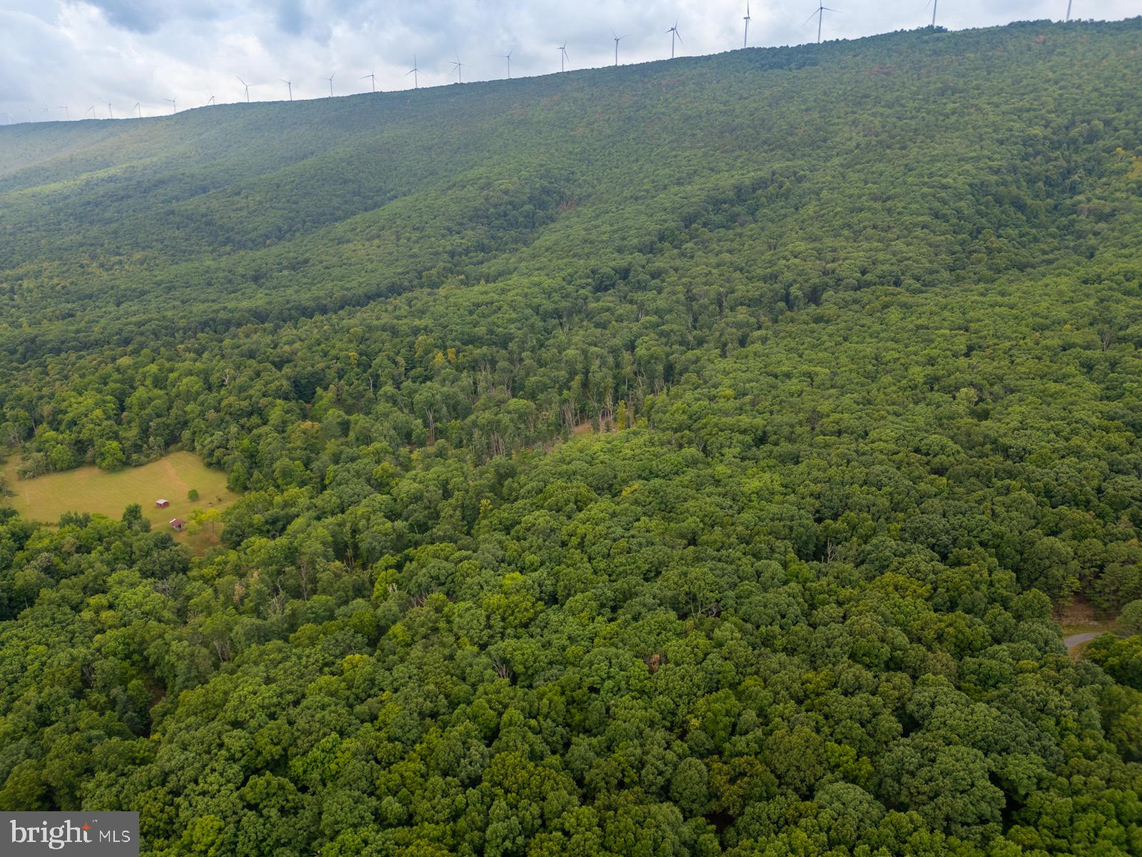 NANCY HANKS FARM - Land