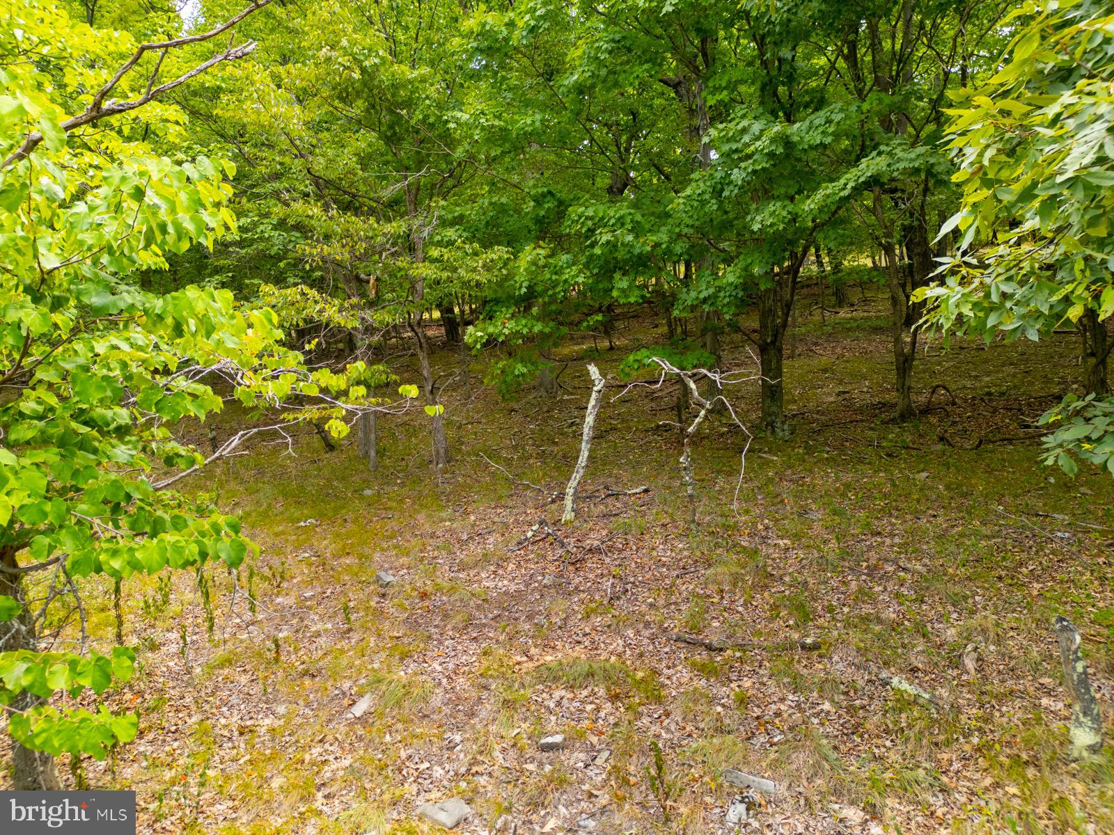 NANCY HANKS FARM - Land