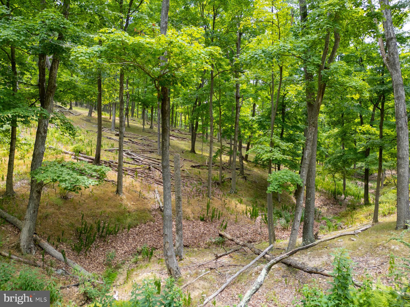 NANCY HANKS FARM - Land