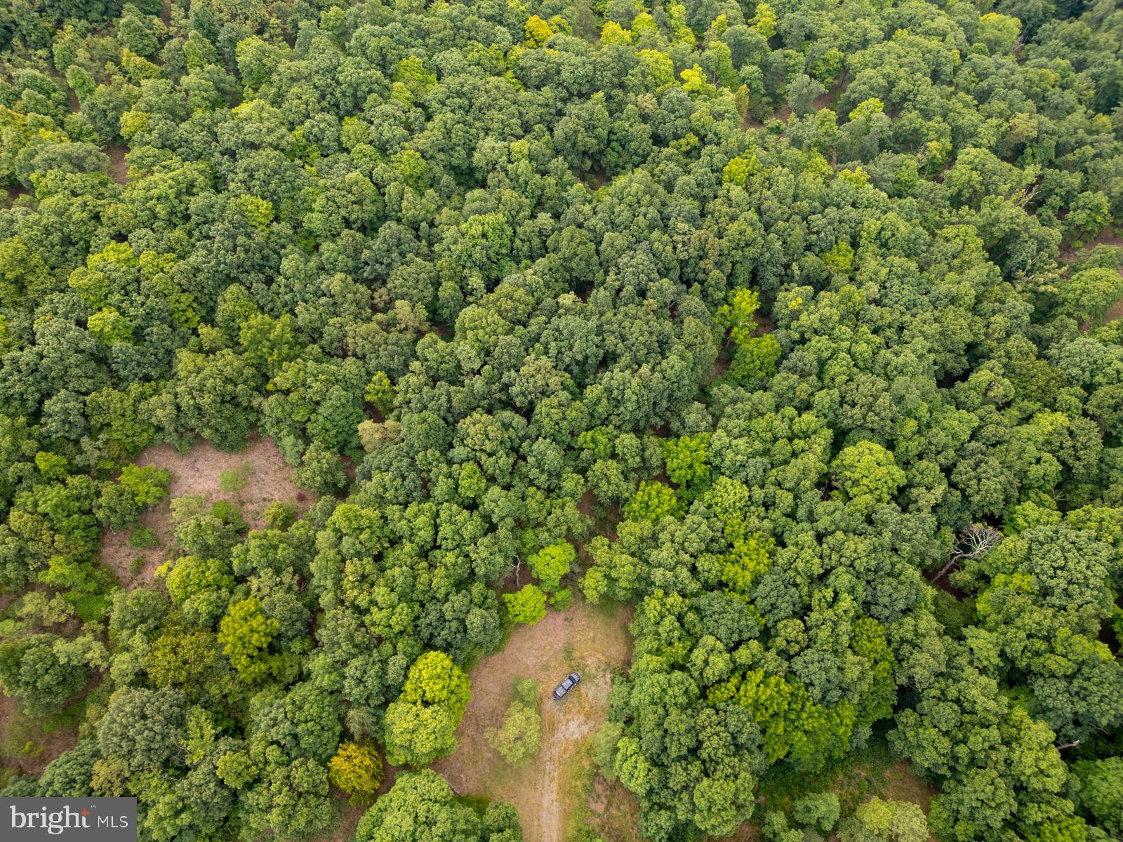 NANCY HANKS FARM - Land
