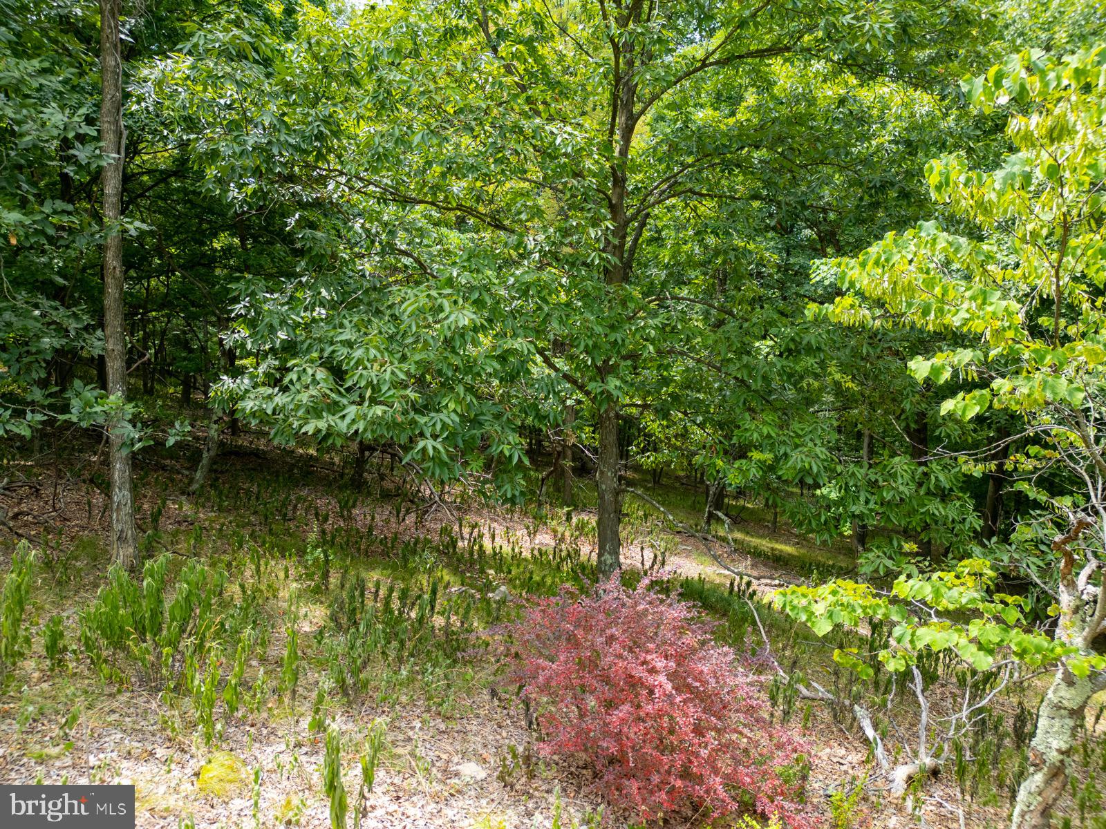 NANCY HANKS FARM - Land