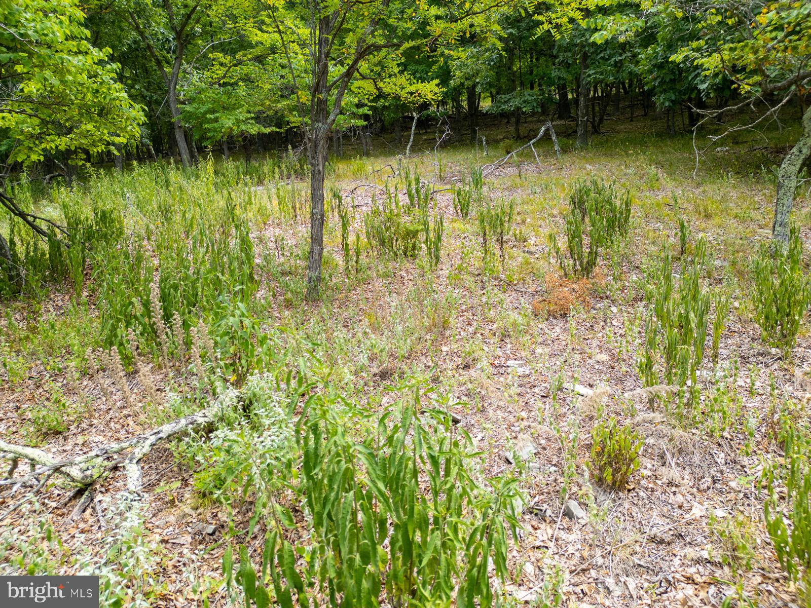 NANCY HANKS FARM - Land