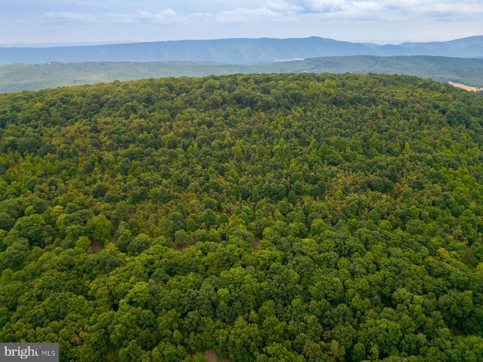 NANCY HANKS FARM - Land