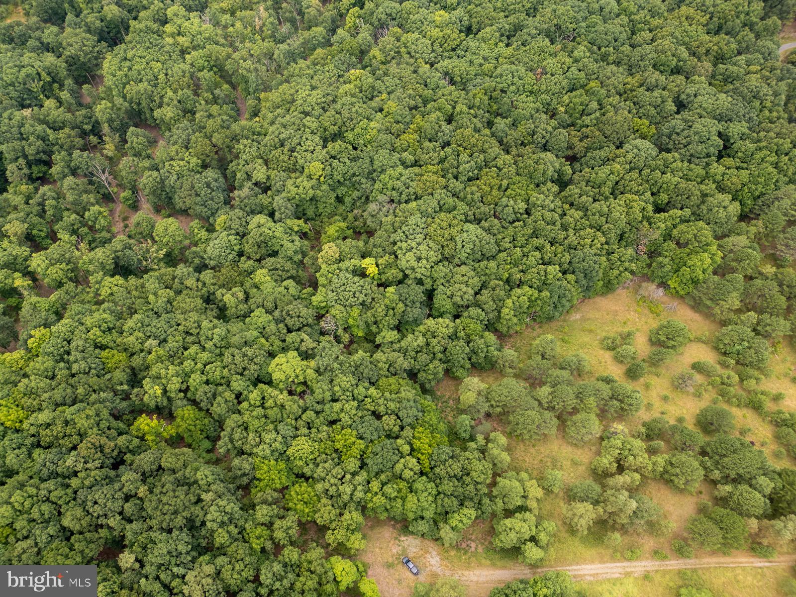 NANCY HANKS FARM - Land