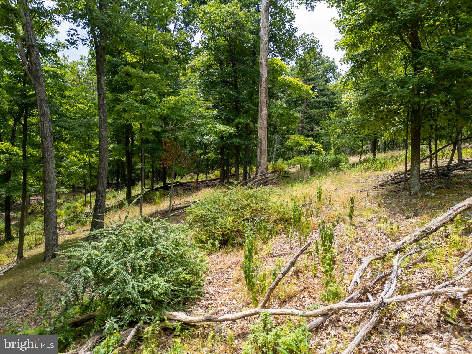 NANCY HANKS FARM - Land