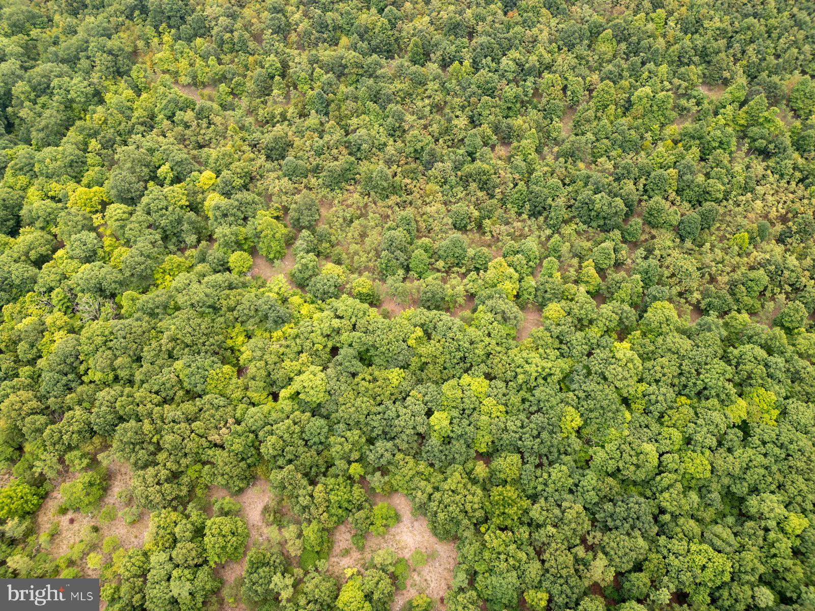 NANCY HANKS FARM - Land