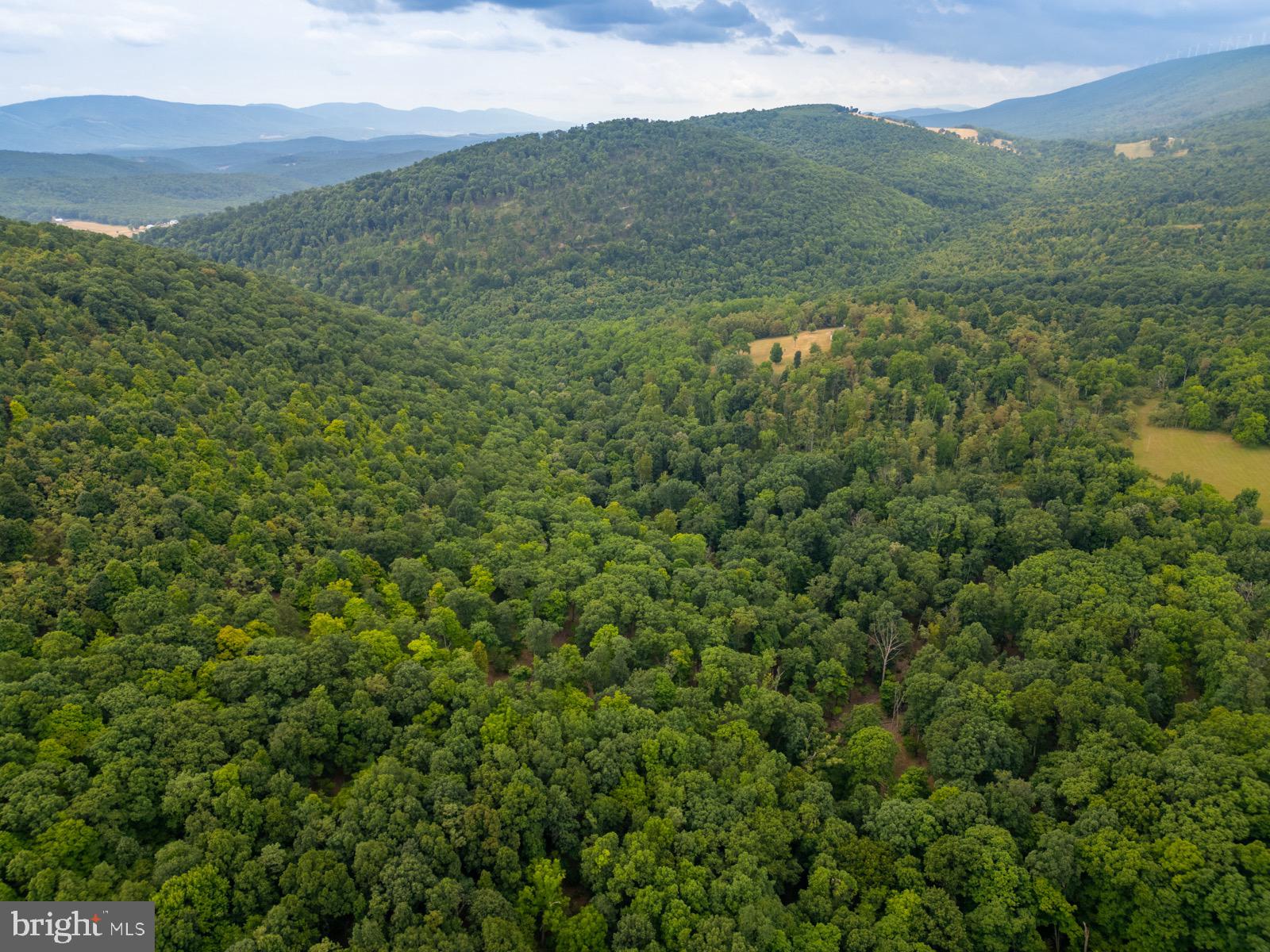 NANCY HANKS FARM - Land
