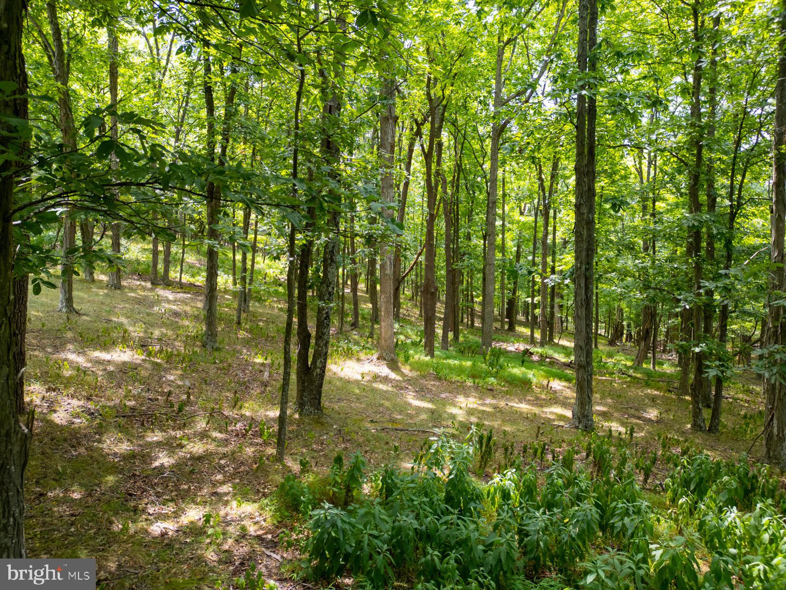NANCY HANKS FARM - Land