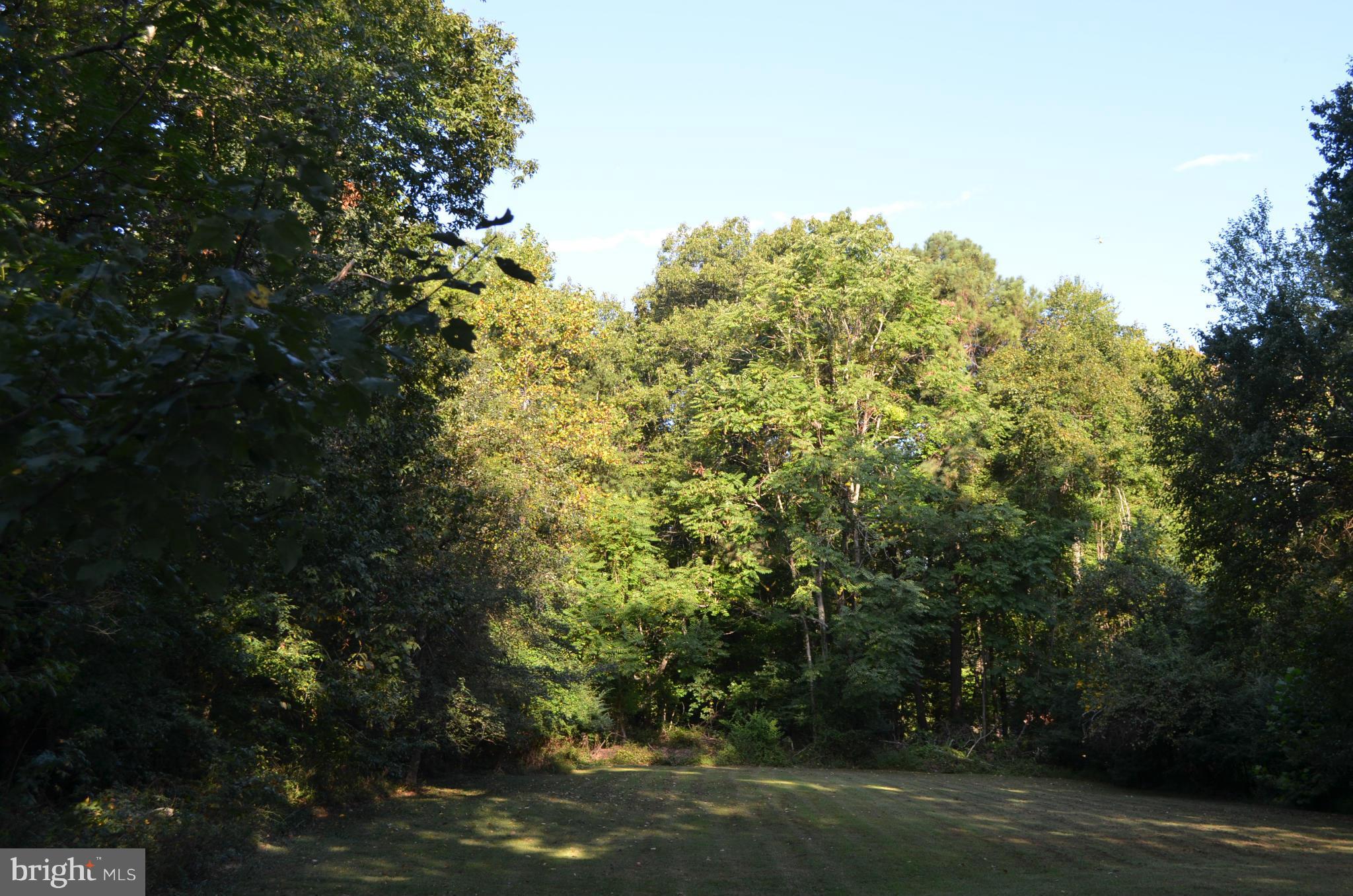 BRADLEY FOREST - Residential