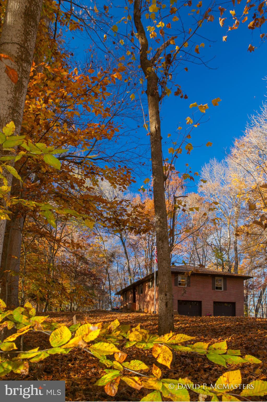 STEAMBOAT RUN - Residential