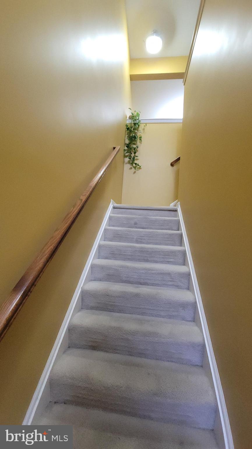 SILVER CREEK - Residential Lease