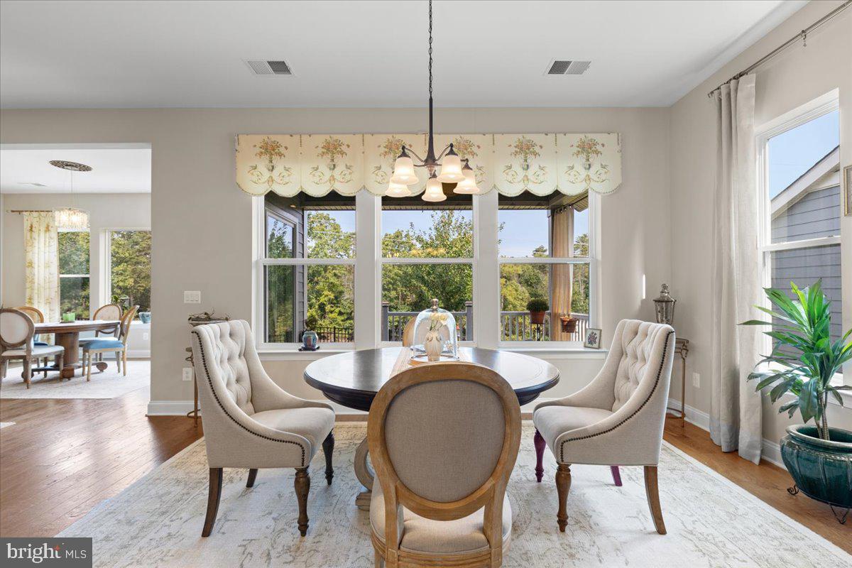 SHENANDOAH, LAKE FREDERICK - Residential