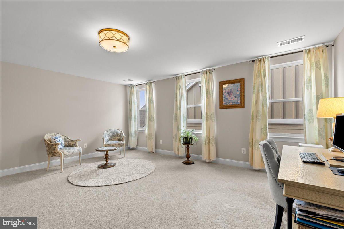 SHENANDOAH, LAKE FREDERICK - Residential