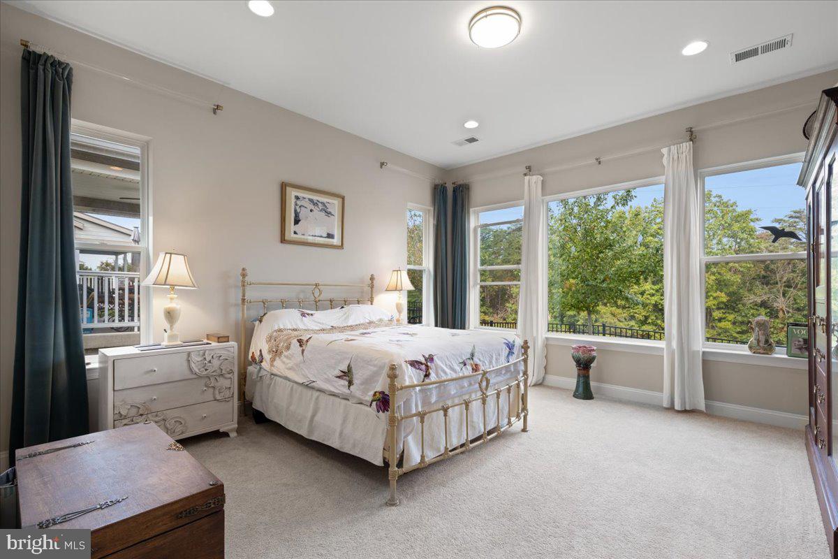 SHENANDOAH, LAKE FREDERICK - Residential