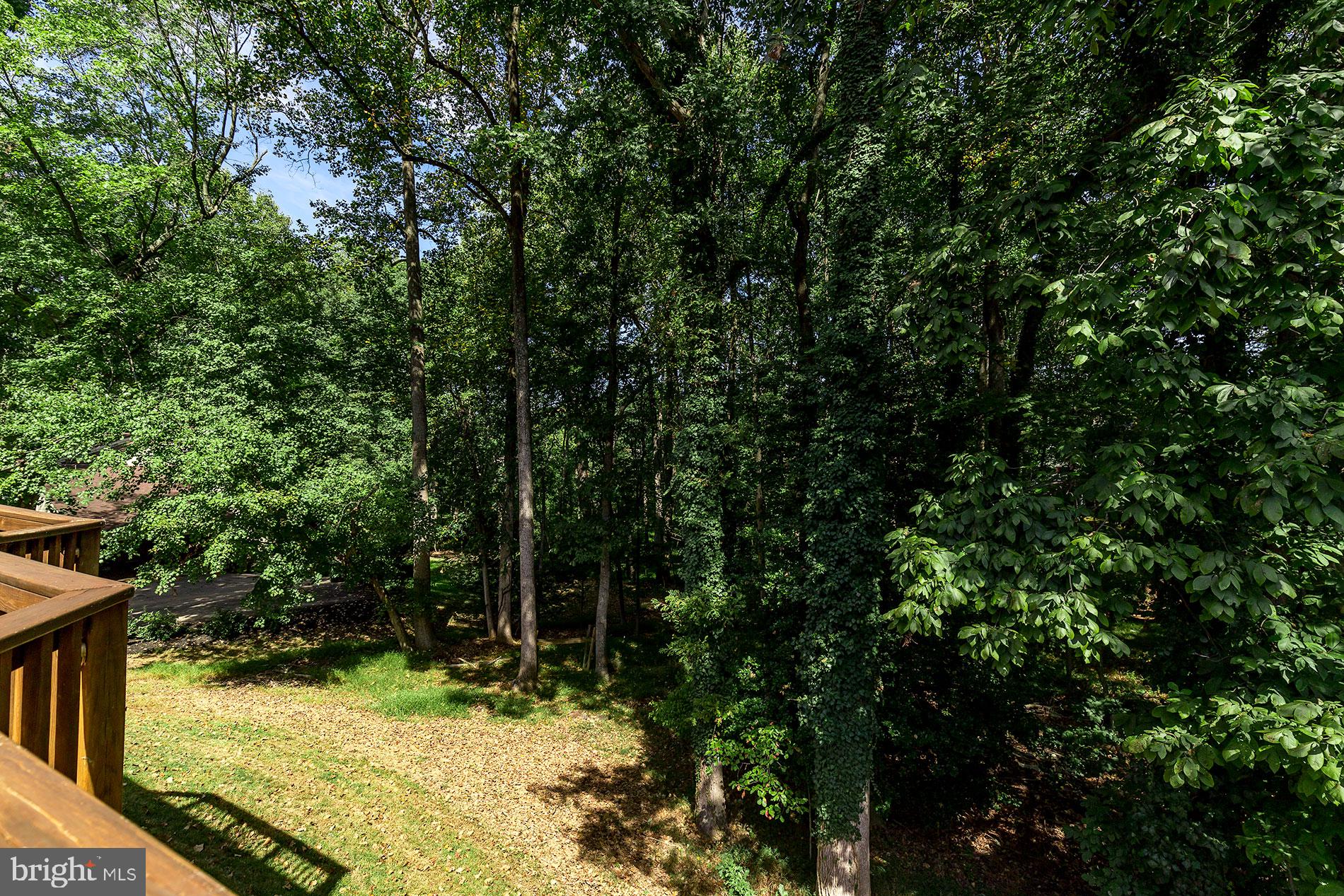 BLUFFS OF WOLF TRAP - Residential