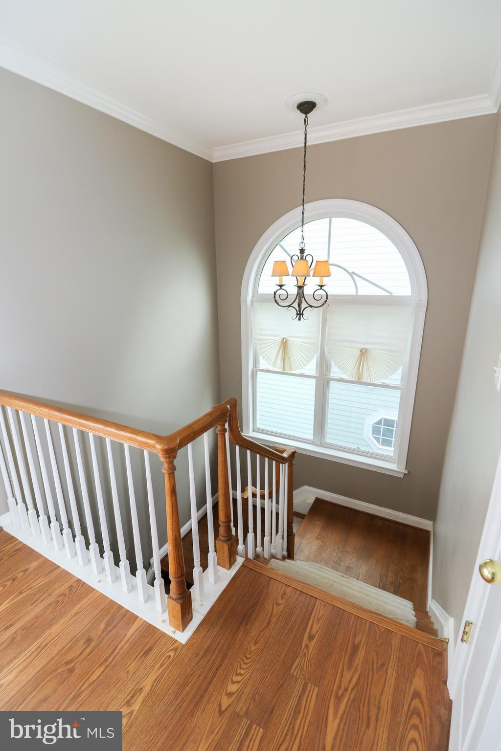 VILLAGE CASE - Residential