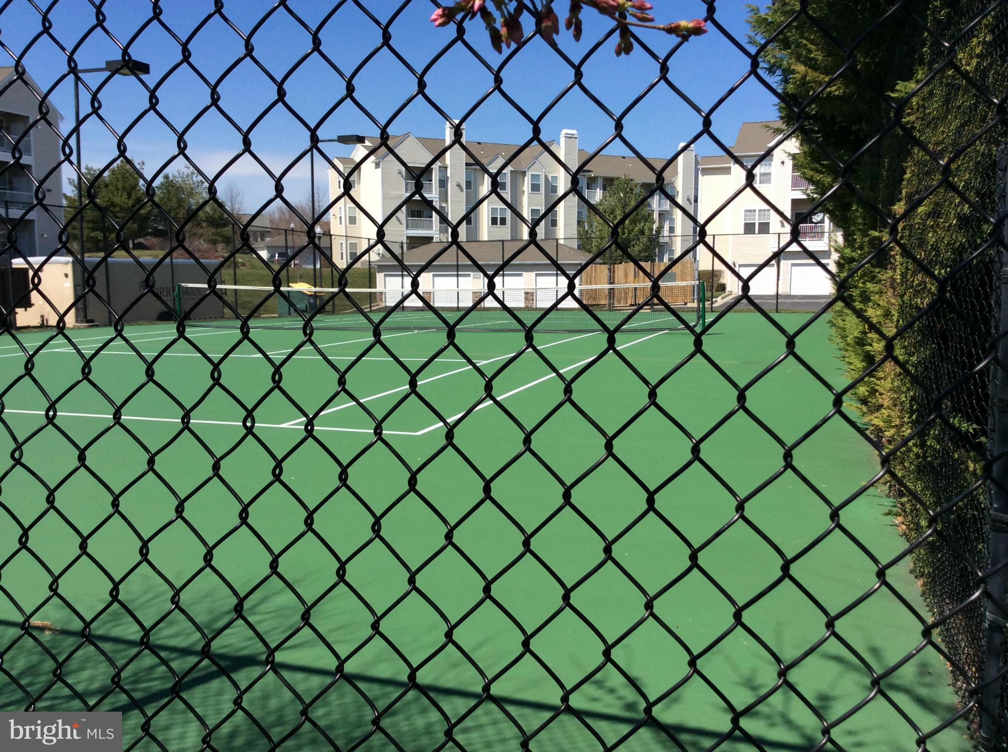 WINDSOR COMMONS - Residential