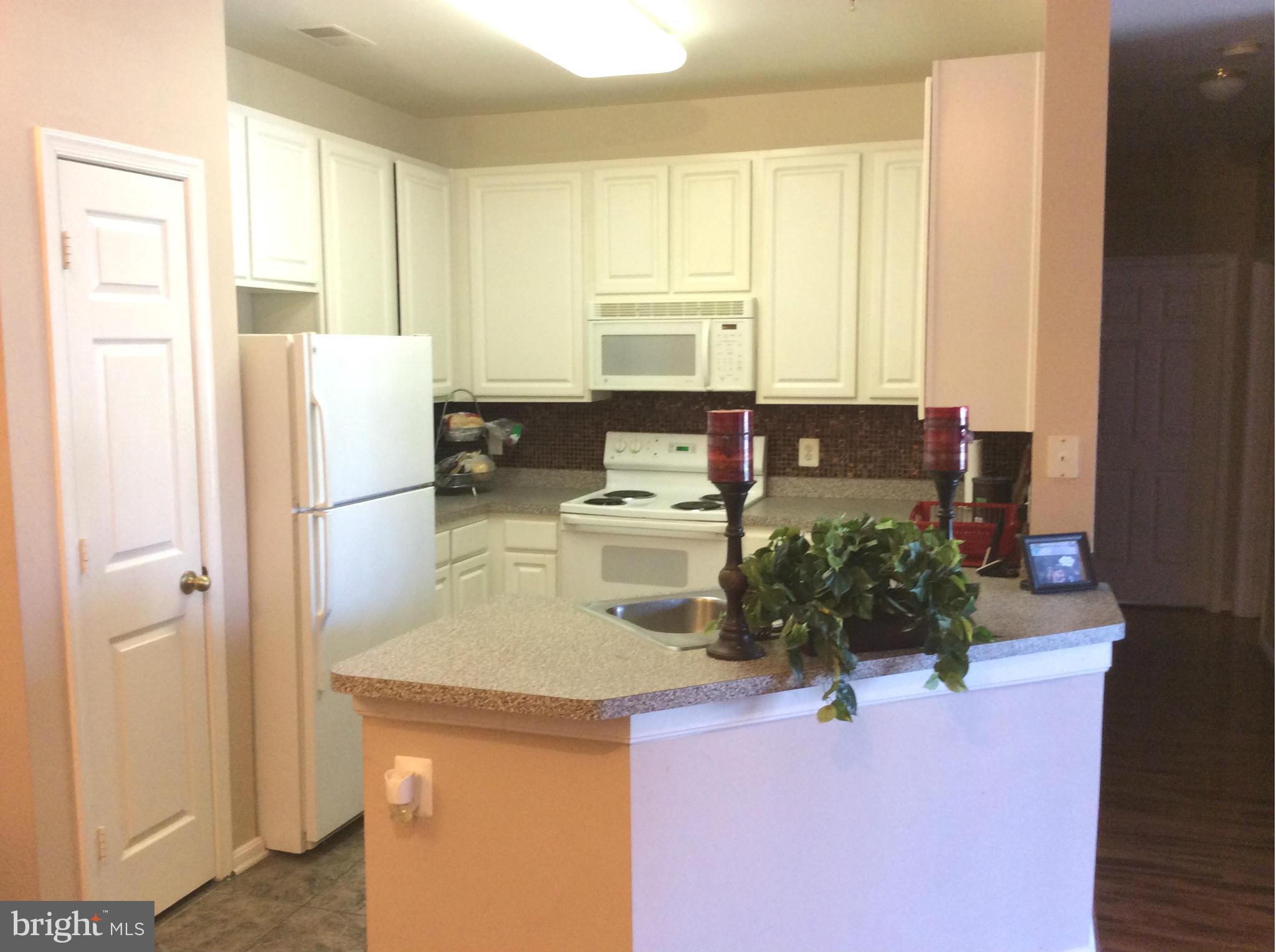 WINDSOR COMMONS - Residential