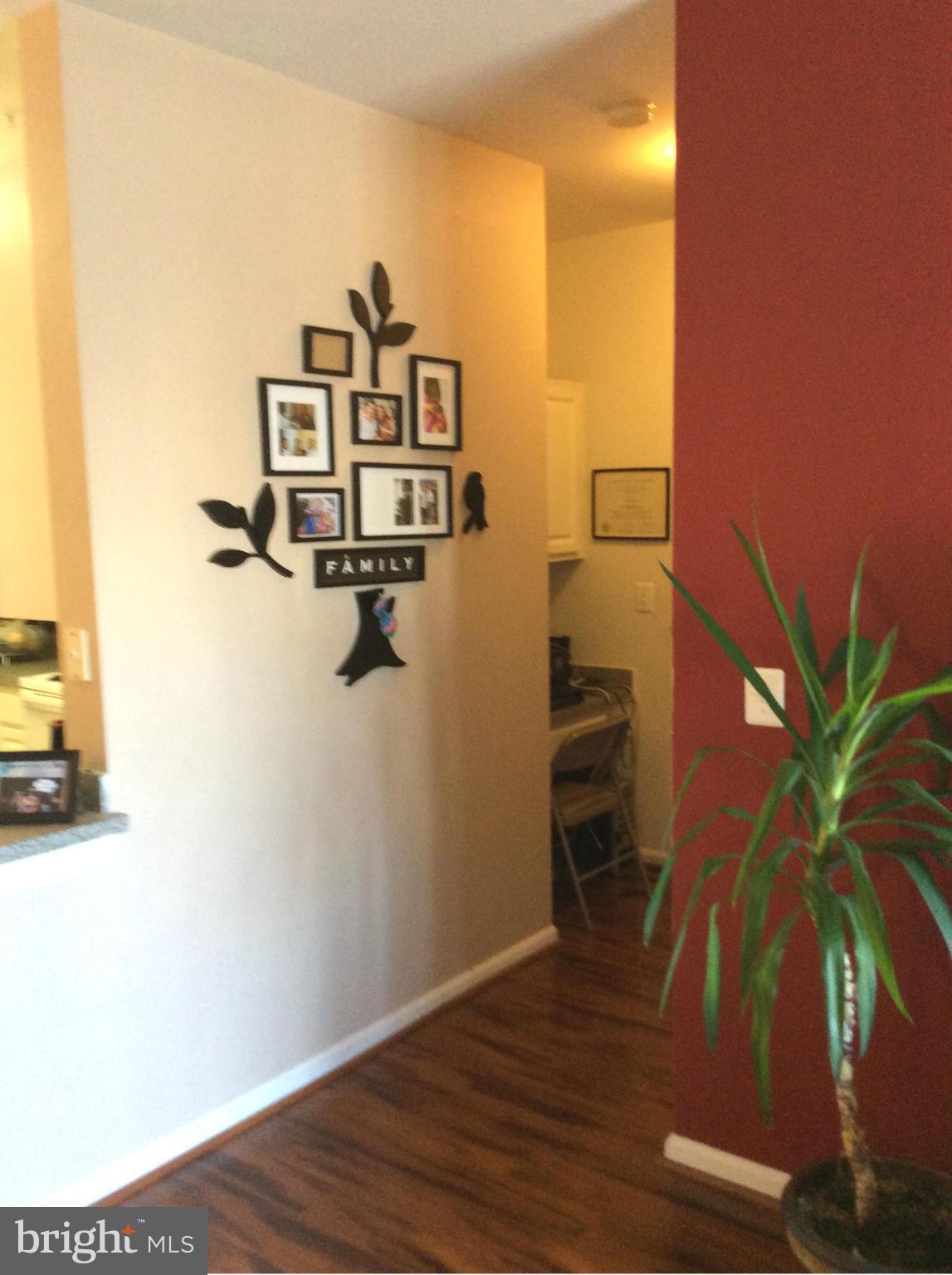 WINDSOR COMMONS - Residential