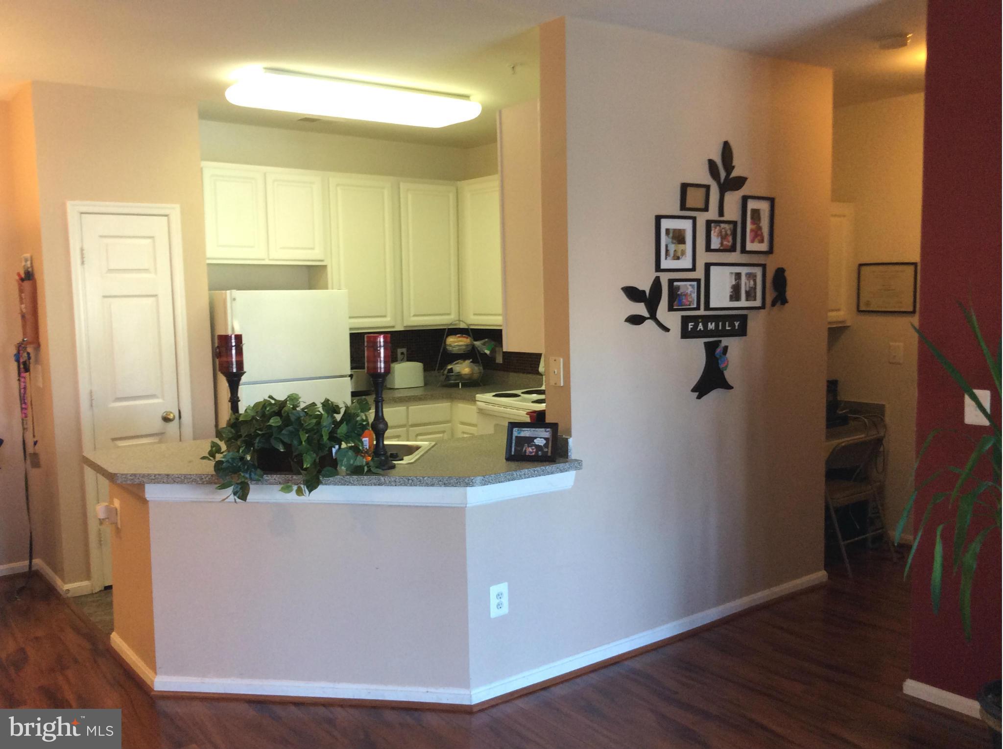 WINDSOR COMMONS - Residential