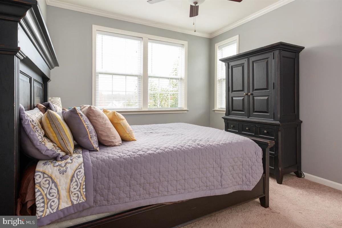 BEECHTREE - Residential