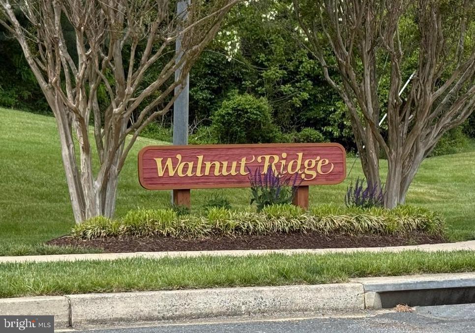 WALNUT RIDGE - Residential