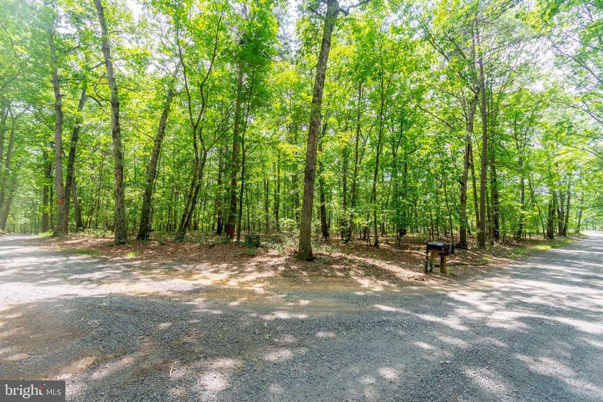 Discover nearly 2.5 wooded acres in the charming Breezewood neighborhood in Orange County. A flat, corner parcel with generous frontage on both roads. Thoughtfully wooded but not overgrown, the lot invites you to explore and envision a custom home site surrounded by nature. 

Zoned agricultural, with excellent potential for a serene private homestead, mixed-use hobby farm or simply a peaceful investment for the future. The neighborhood offers rural tranquility yet remains just minutes from Locust Grove and the Town of Orange, with shopping, schools and dining all nearby. 

This property has no HOA or restrictive covenants, perfect for buyers seeking freedom, flexibility, and the opportunity to make their vision a reality. Convenient to Route 20 and 522. Not far from Lake Orange and Lake Anna!