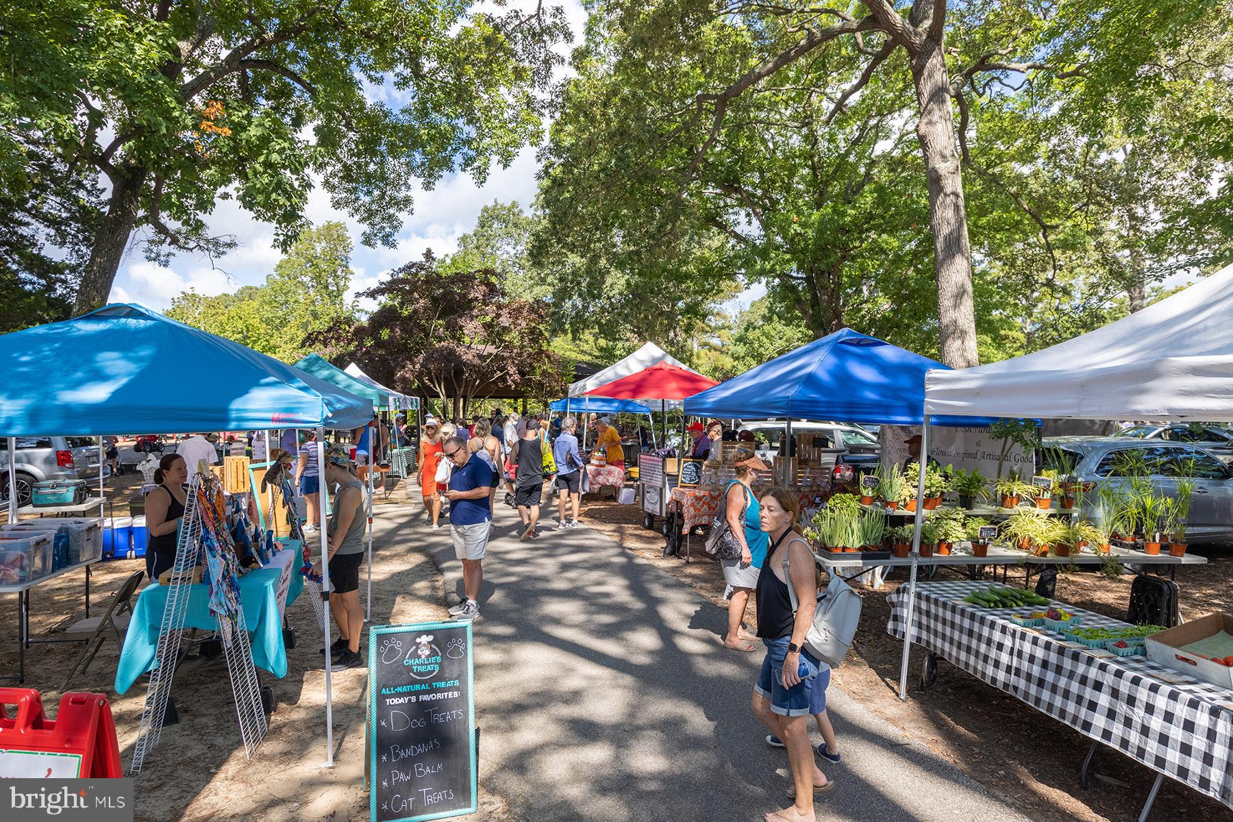 NORTH REHOBOTH - Residential