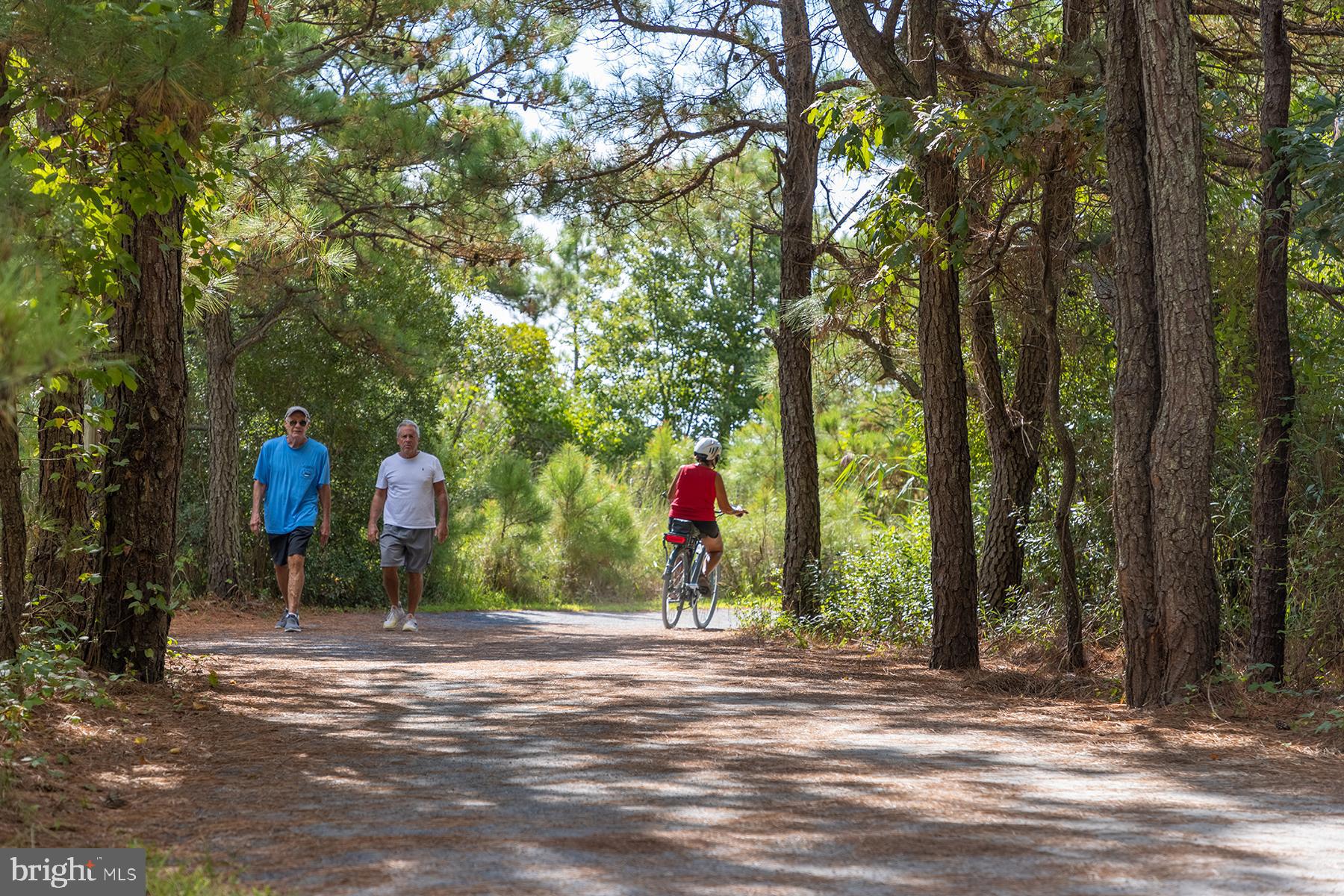 NORTH REHOBOTH - Residential