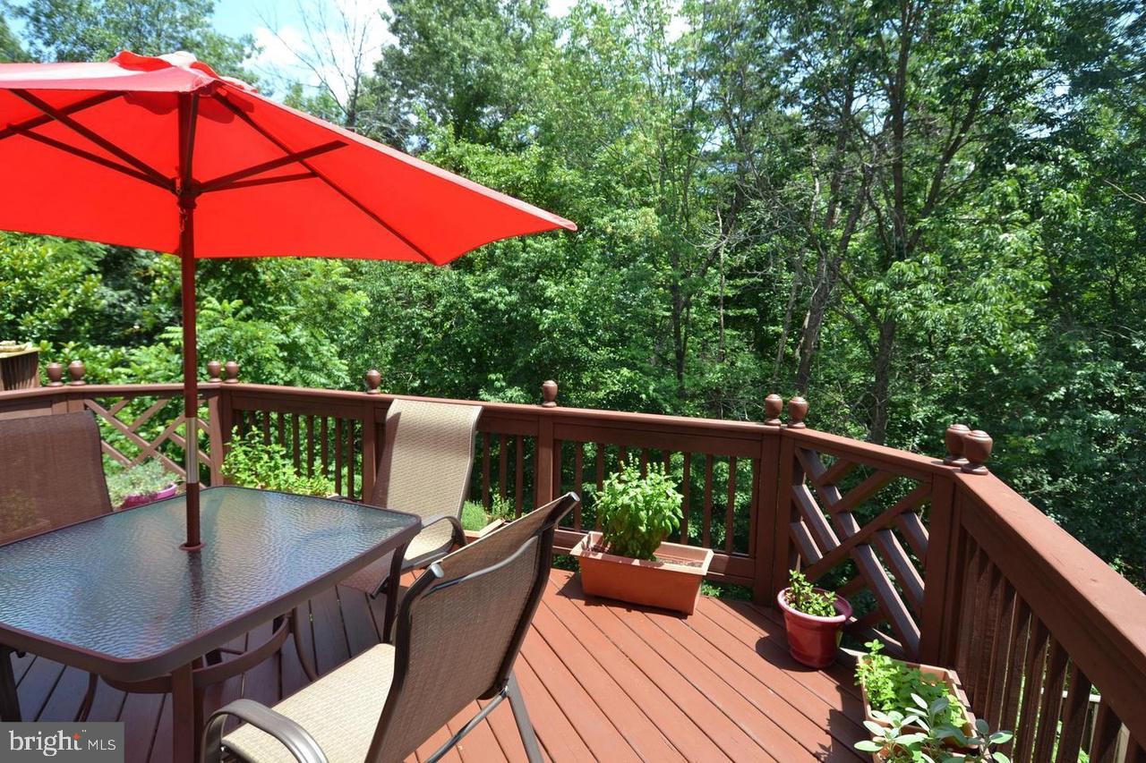 POTOMAC HUNT - Residential Lease