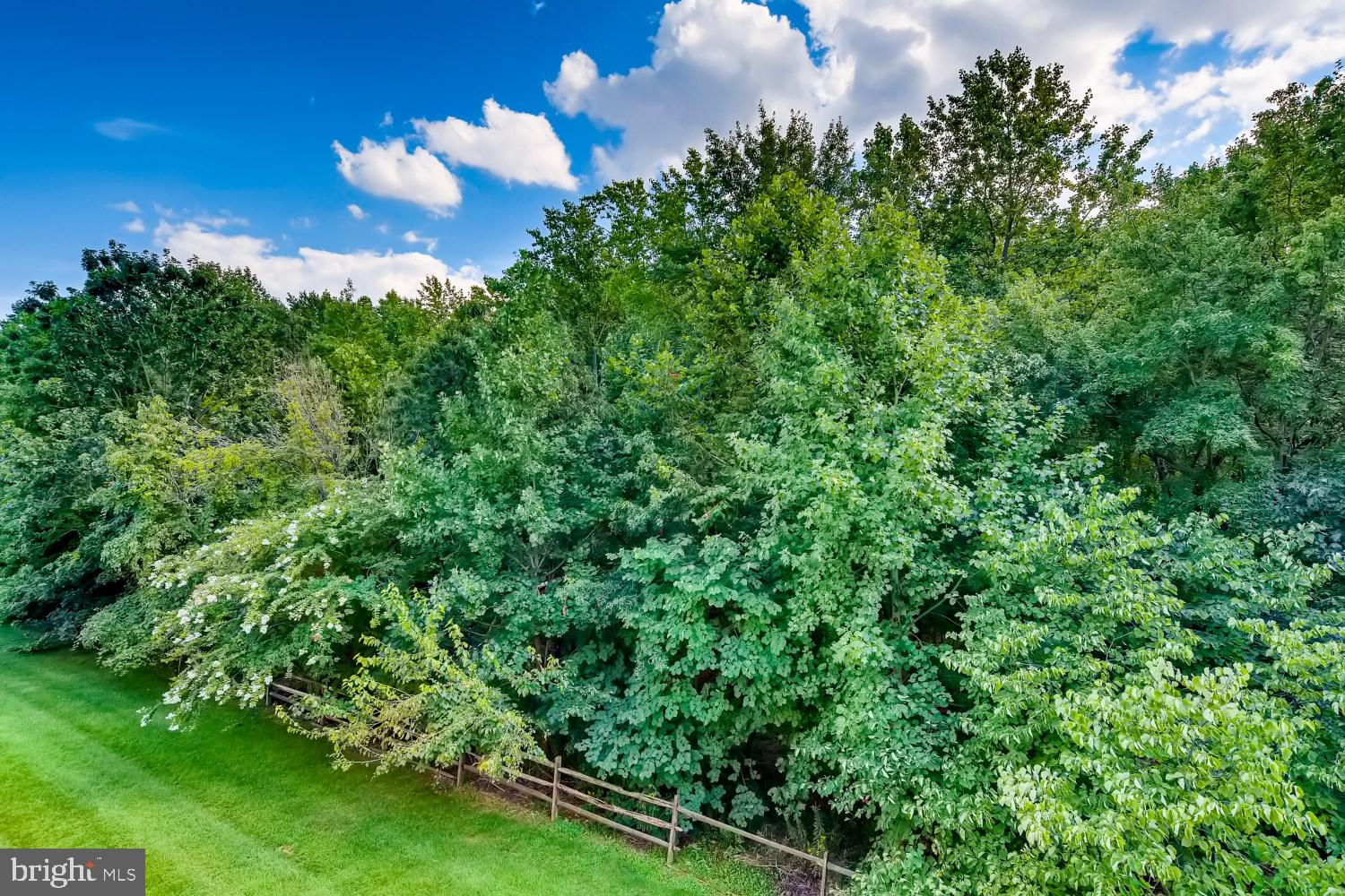 DEVONSHIRE AT WHITEMARSH - Residential