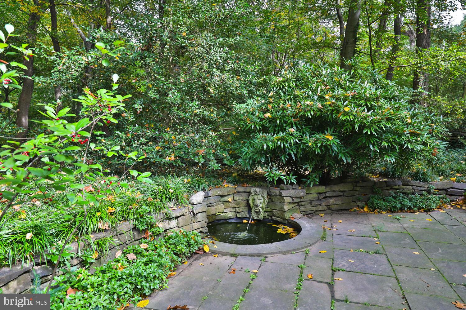 CHESTNUT HILL - Residential