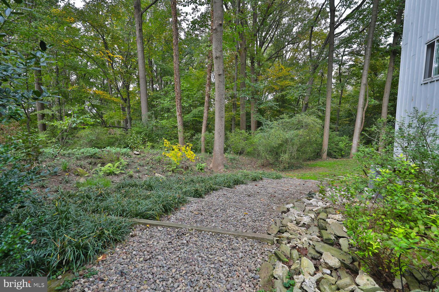 CHESTNUT HILL - Residential