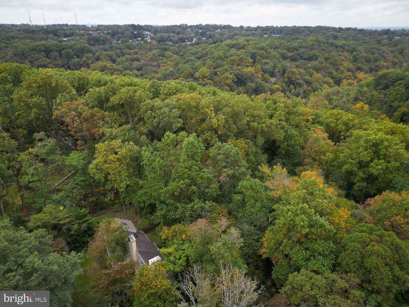 CHESTNUT HILL - Residential