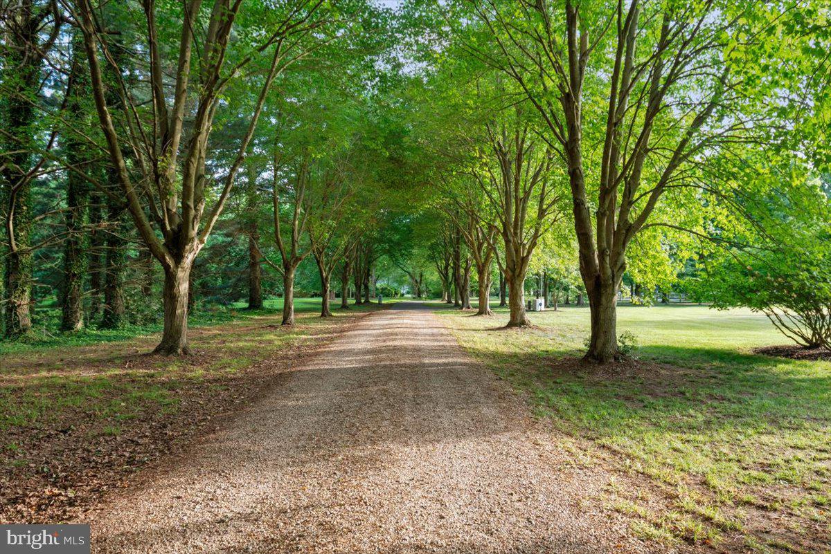 SPOUT FARM - Residential