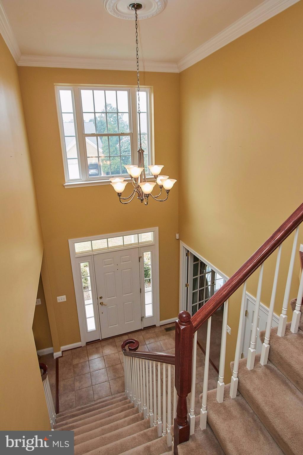 PEMBROOKE - Residential