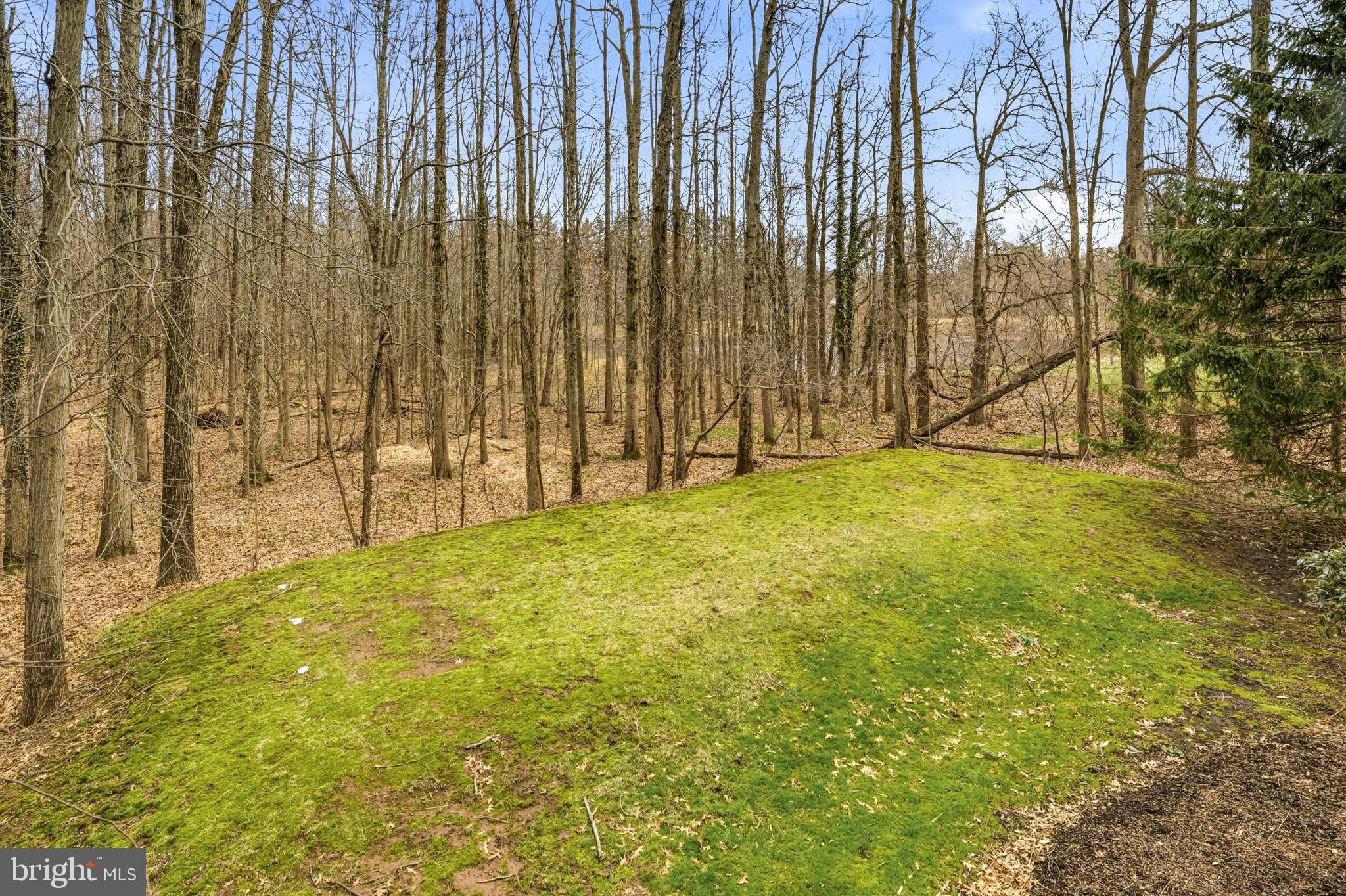 MERCER GATE - Residential