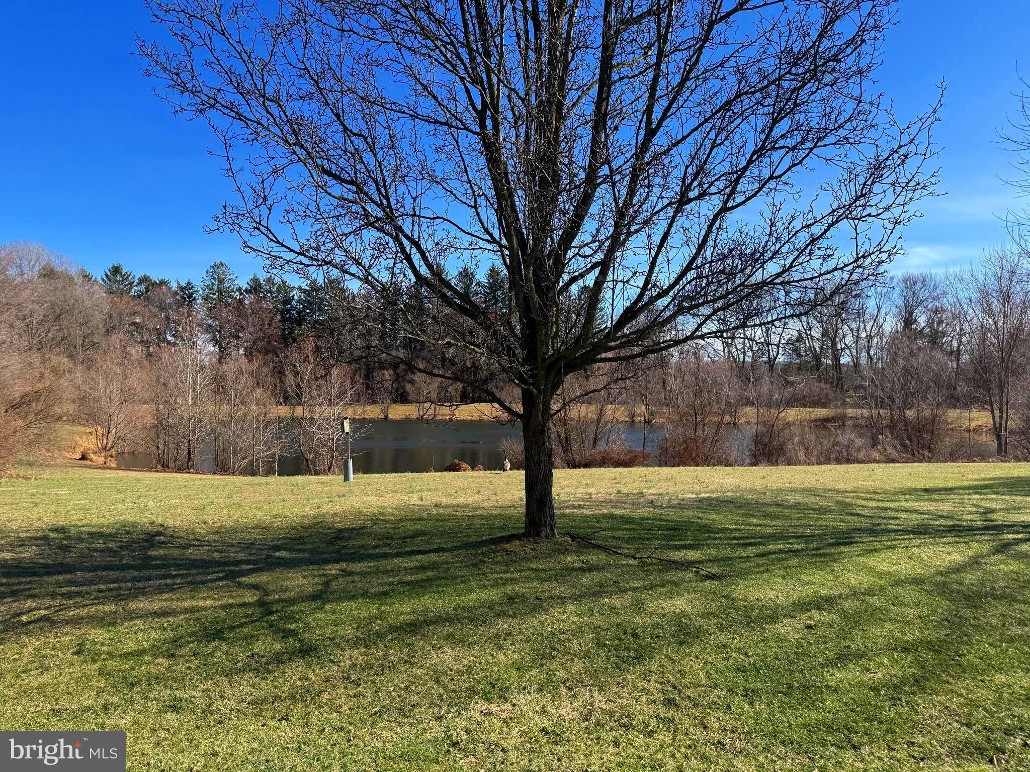 MERCER GATE - Residential