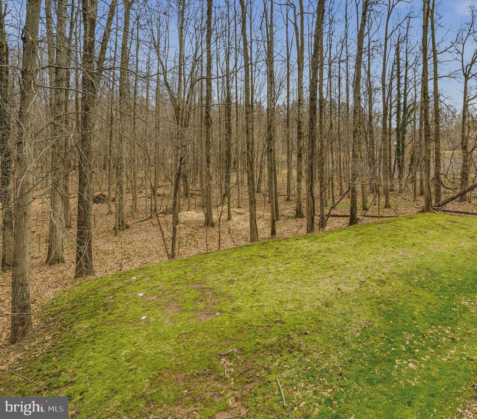 MERCER GATE - Residential