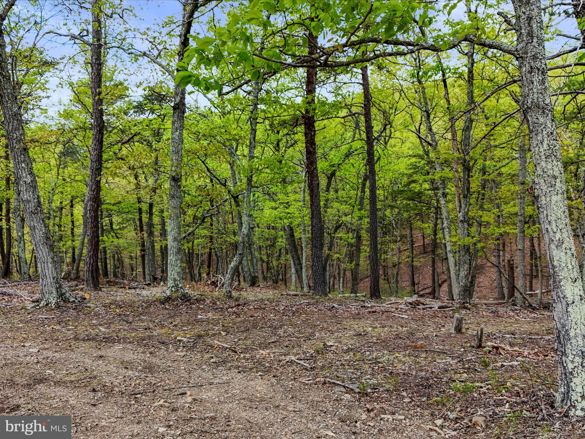 WHITETAIL RIDGE - Land