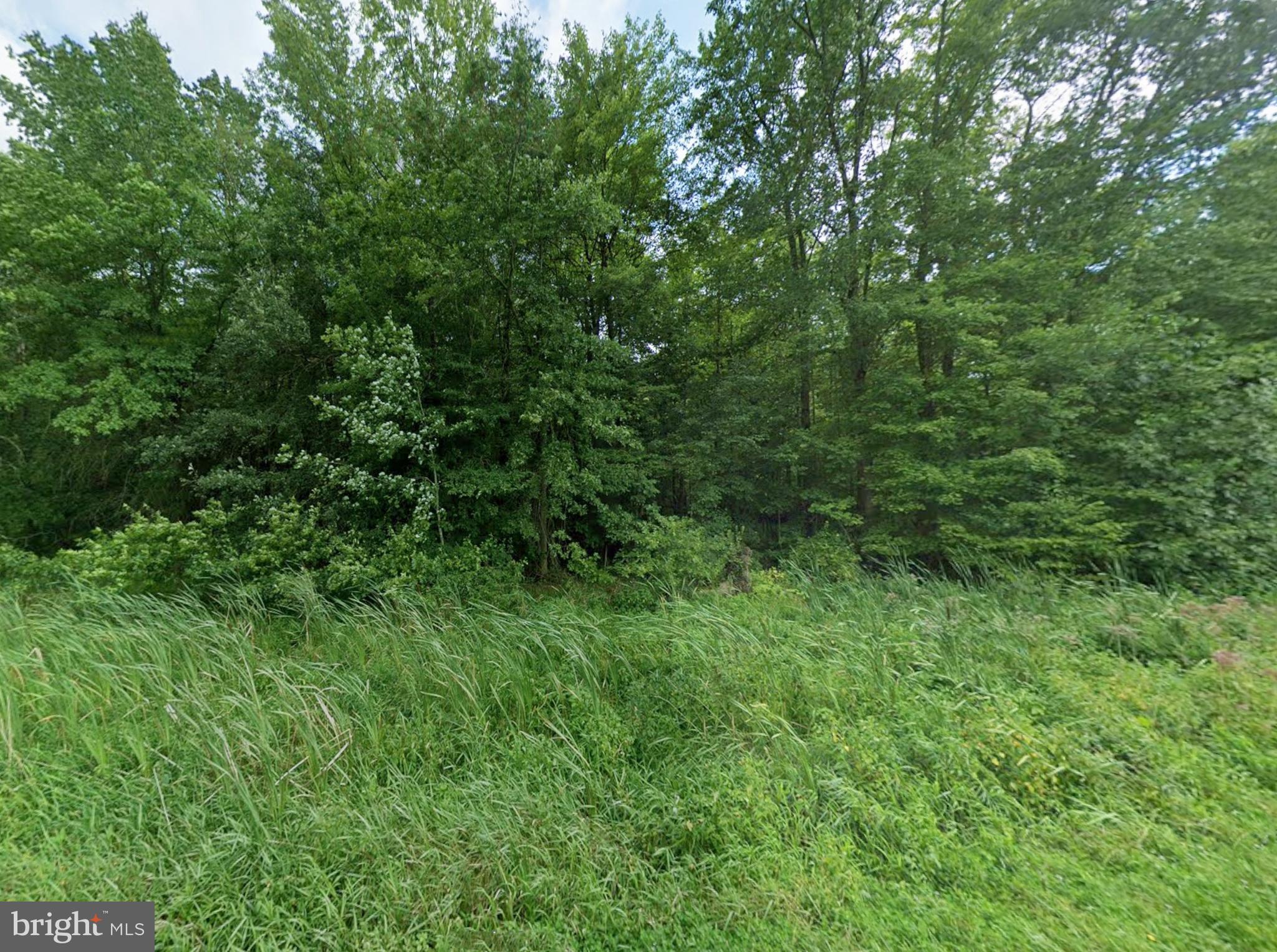 WILLIAMS ROAD