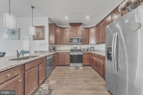 9435 JAMES MACGOWAN LANE 439 OWINGS MILLS MD 21117