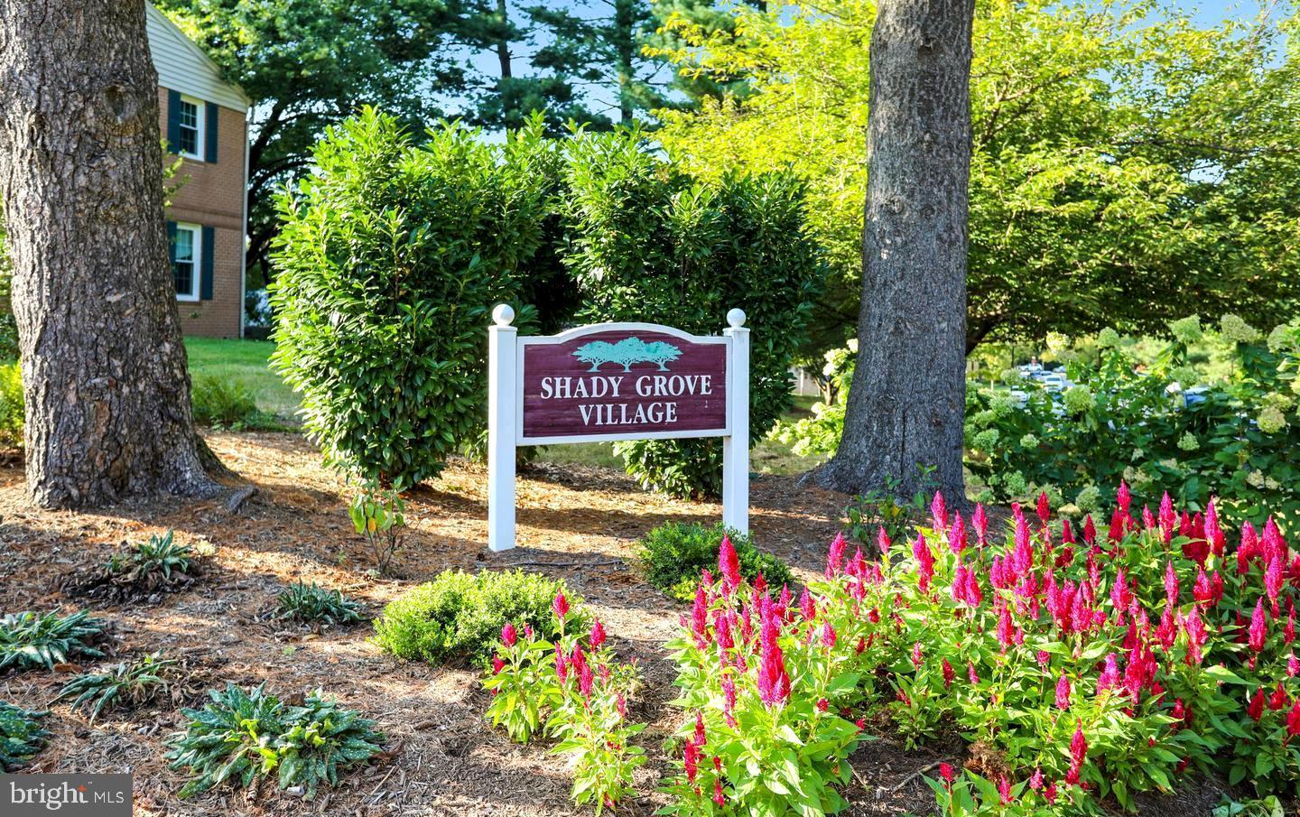 SHADY GROVE VILLAGE - Residential