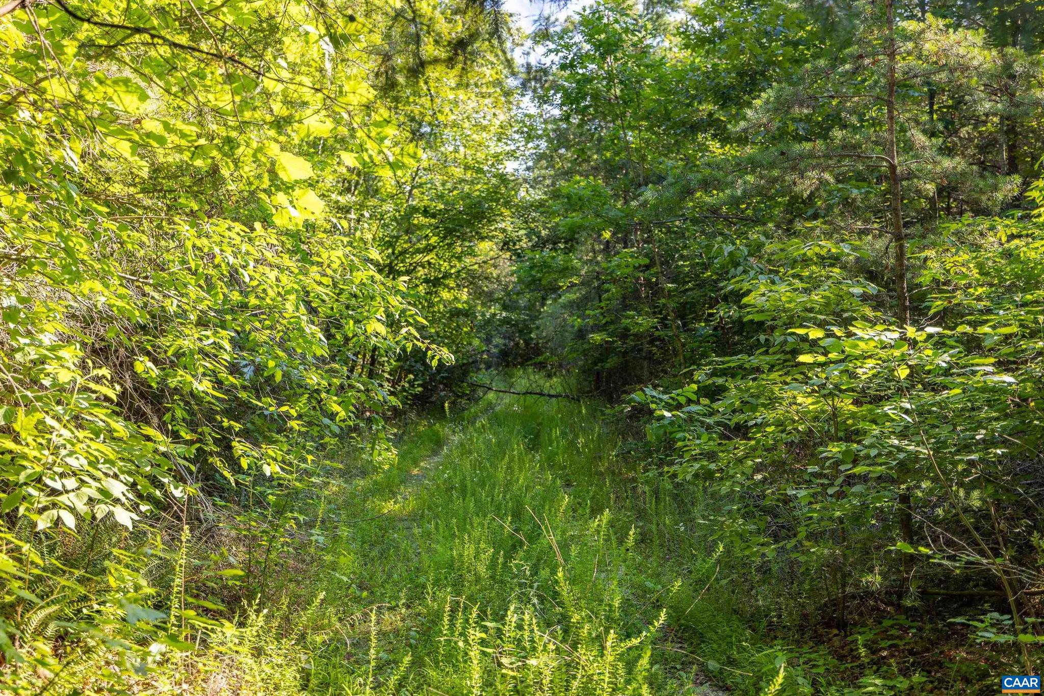 NONE AVAILABLE - Land